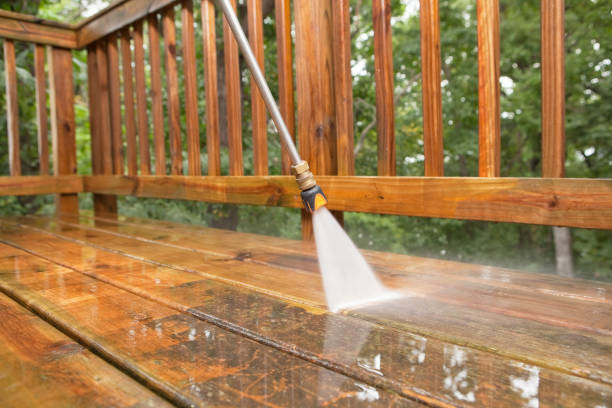 Best Roof Washing  in Bayou Vista, TX